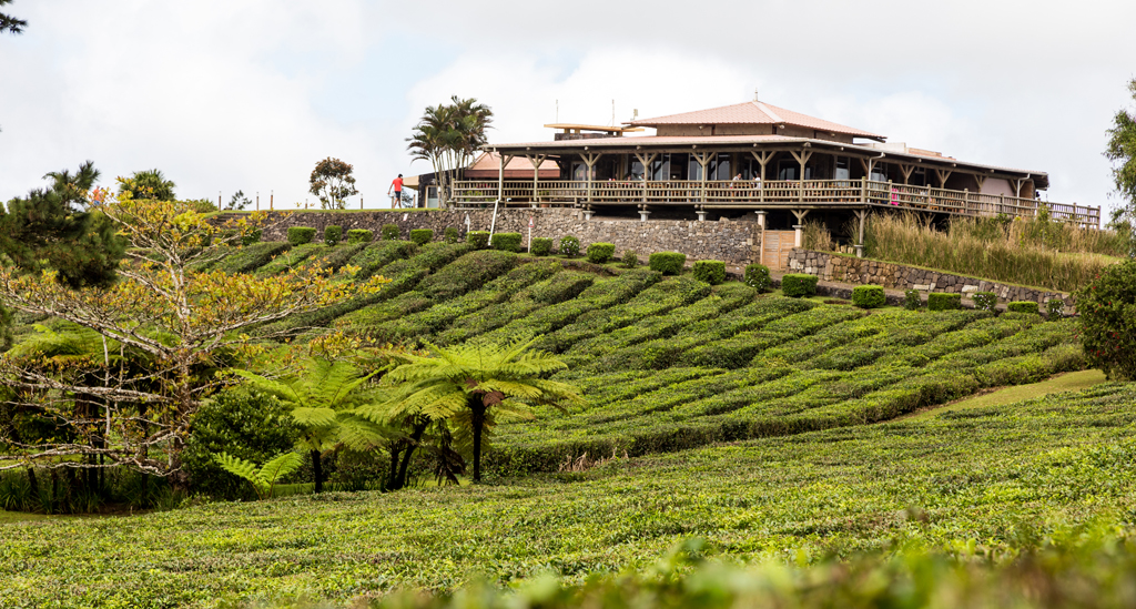theeplantage Bois-Cheri Mauritius